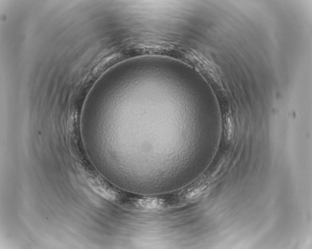 X0000088140225200705141519