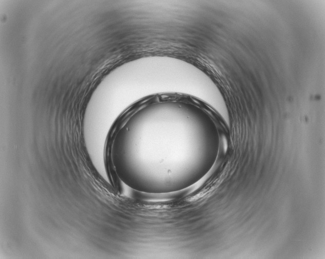 X0000088140237200705141519