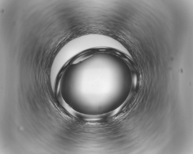 X0000088140280200705141518