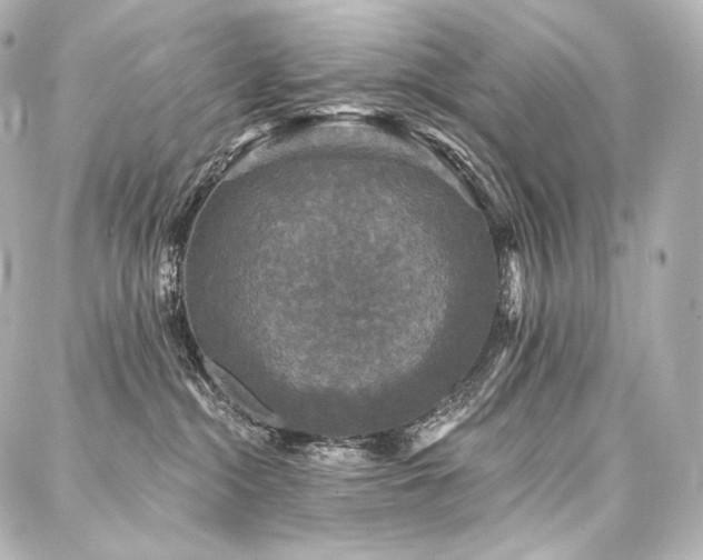X0000088140284200705141518