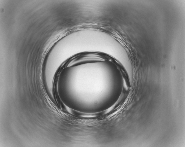 X0000088140293200705141518