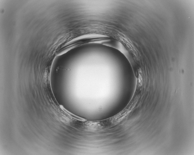 X0000088140333200705141517