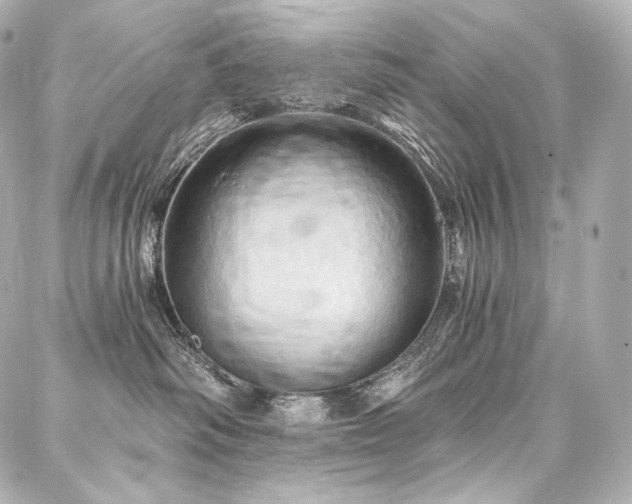X0000088140334200705141517