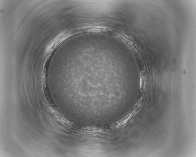 X0000088140339200705141516