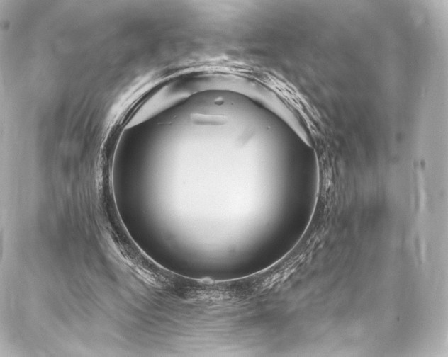 X0000088140344200705141516