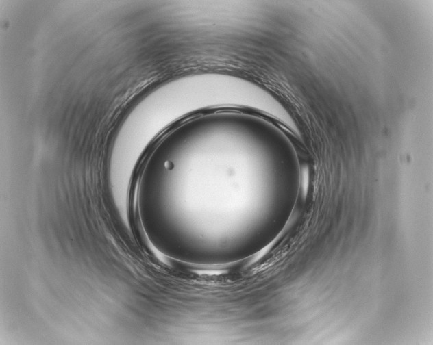 X0000088140360200705141517