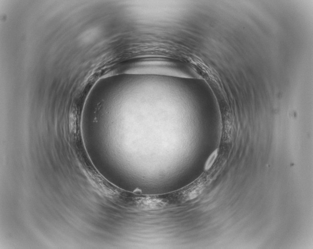 X0000088140379200705141517