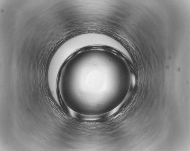 X0000088140417200705141516