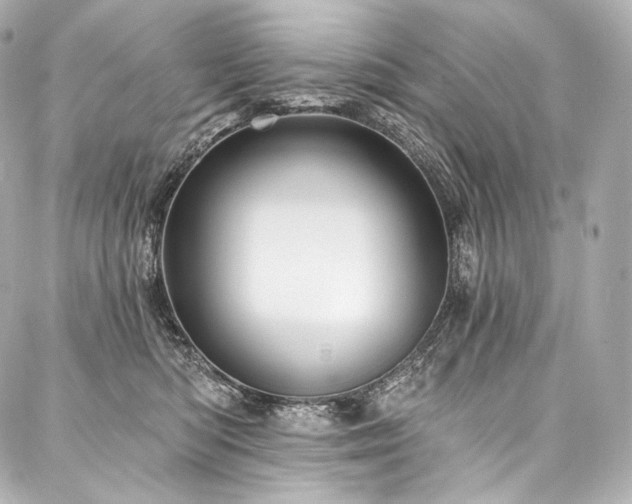 X0000088140422200705141516