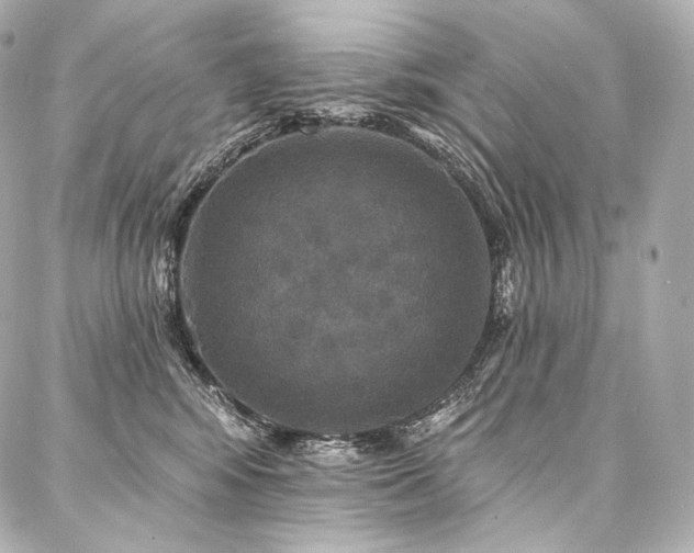 X0000088140424200705141516