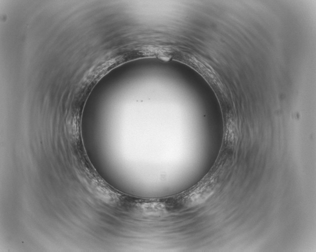 X0000088140426200705141516