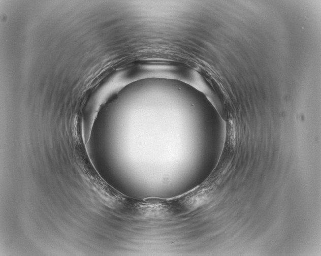 X0000088140428200705141516