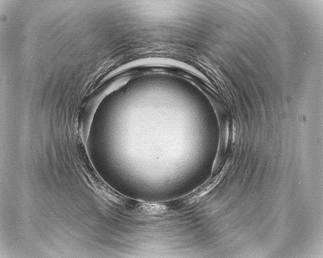 X0000088140429200705141515