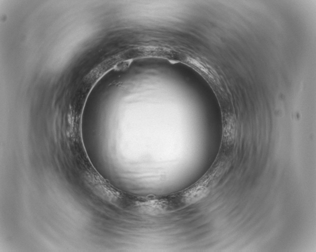 X0000088140430200705141515