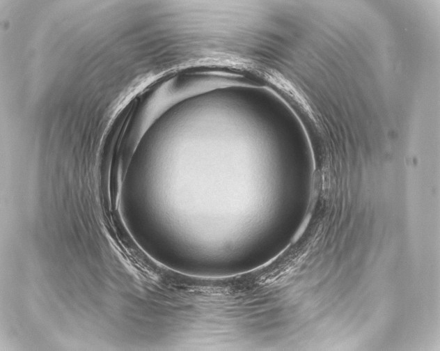 X0000088140436200705141515