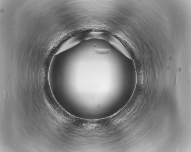 X0000088140448200705141515