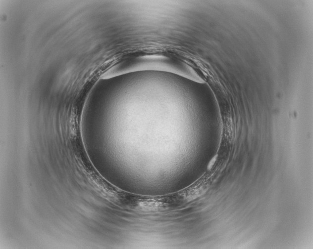 X0000088140470200705141515