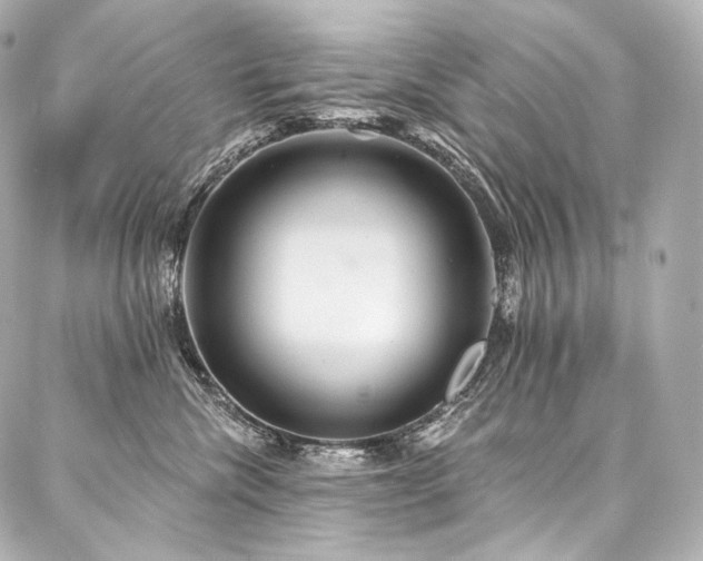 X0000088140476200705141515