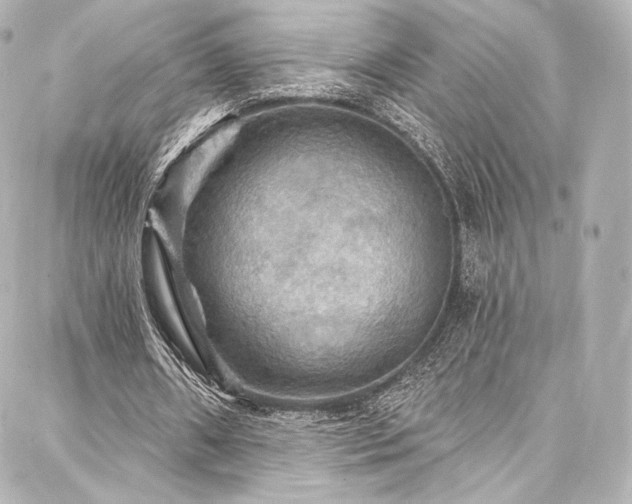 X0000088140482200705141515