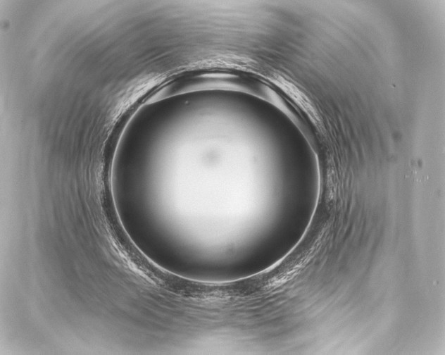 X0000088140485200705141515