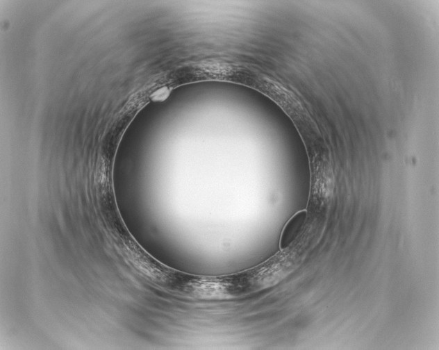 X0000088140518200705141514