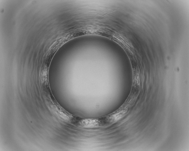 X0000088140526200705141514