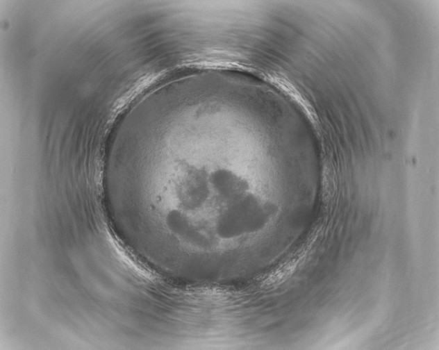 X0000088140533200705141513