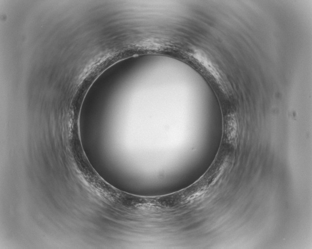 X0000088140544200705141513