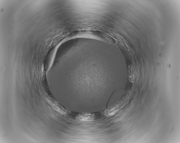 X0000088140563200705141514