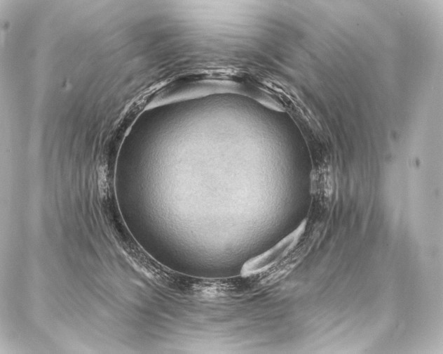 X0000088140564200705141514