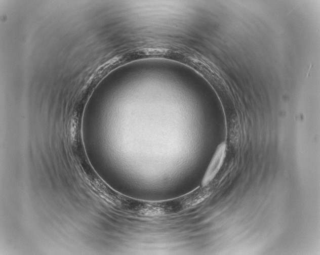 X0000088140604200705141513