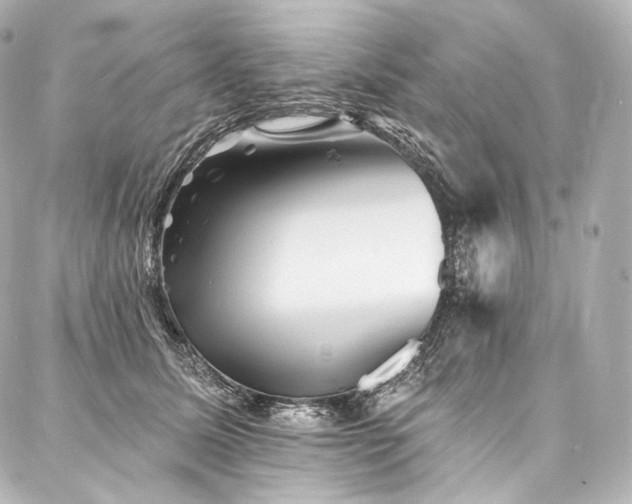 X0000088140611200705141513