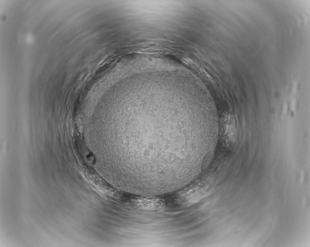 X0000088140615200705141512
