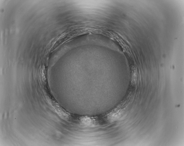 X0000088140616200705141512