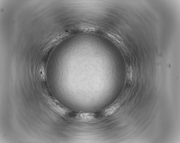 X0000088140622200705141512