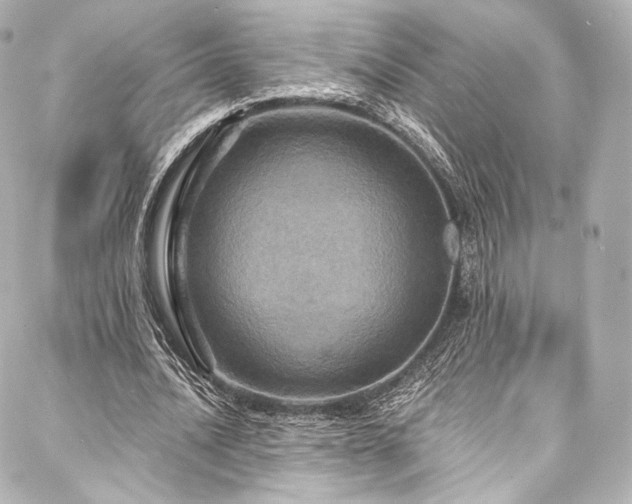 X0000088140628200705141512