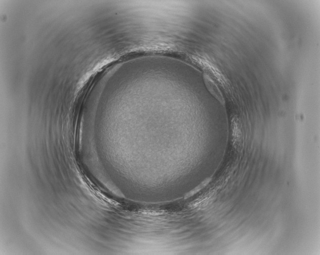 X0000088140684200705141511