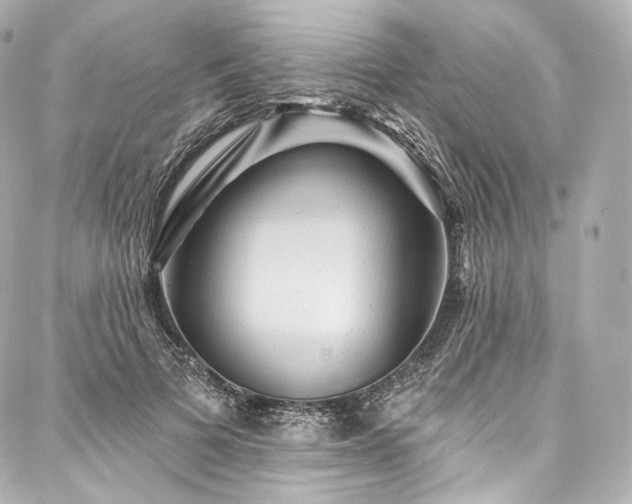 X0000088140697200705141511