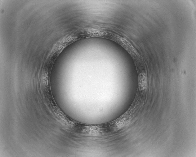 X0000088140713200705141511