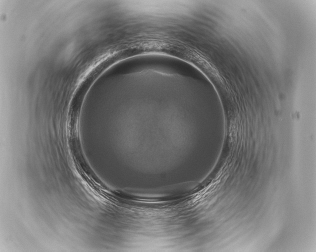 X0000088140722200705141510