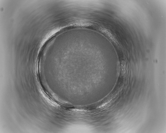 X0000088140726200705141510