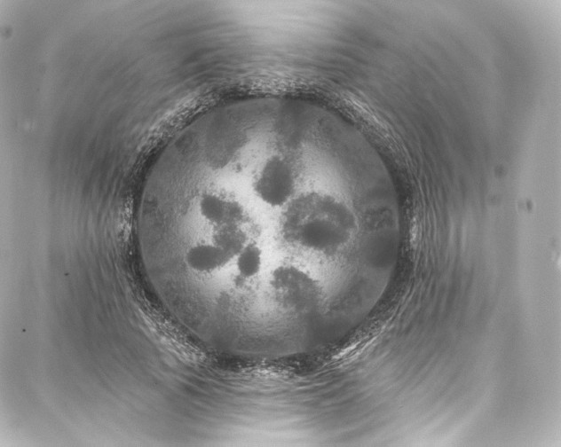 X0000088140737200705141510