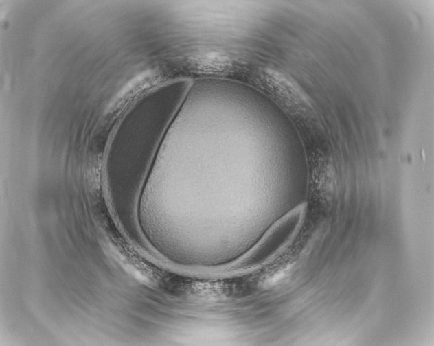 X0000088140744200705141510