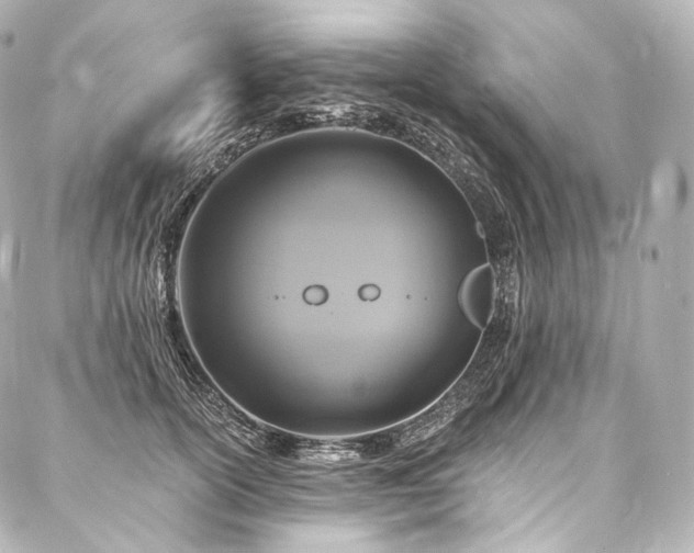 X0000088140754200705141511