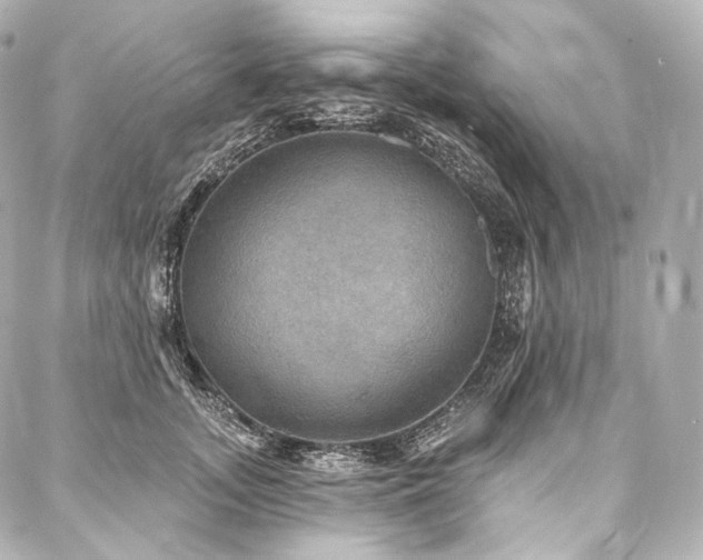 X0000088140755200705141511