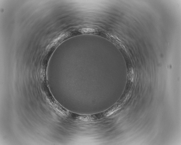 X0000088140763200705141511