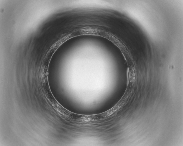 X0000088140764200705141511