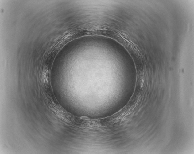 X0000088140770200705141510