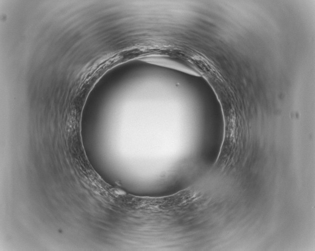 X0000088140773200705141510