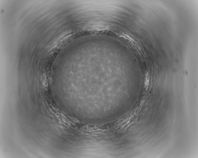 X0000088140774200705141510